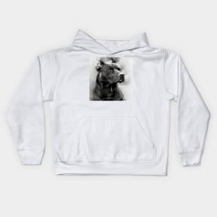 Hound Kids Hoodie